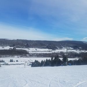 Meet your Posher, Dustin